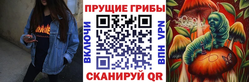 Псилоцибиновые грибы Psilocybe Скопин