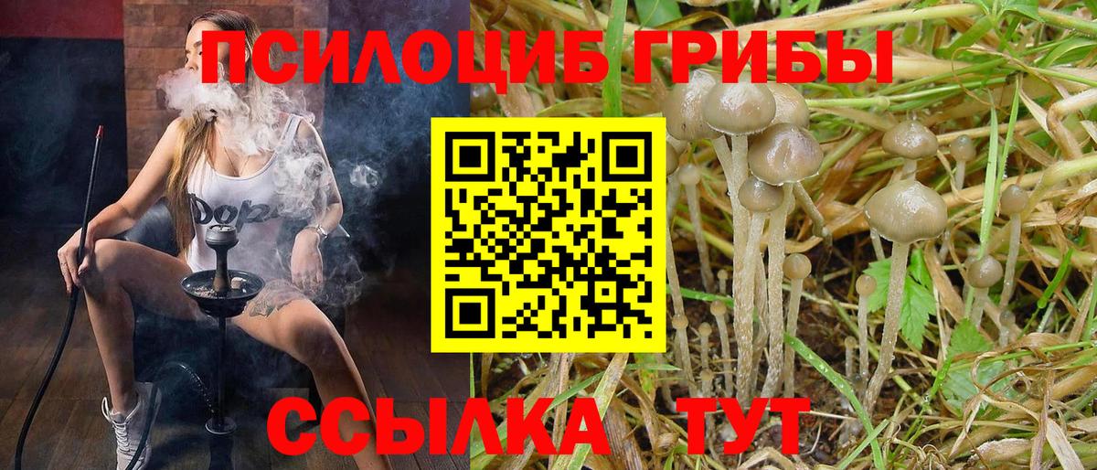 Галлюциногенные грибы мухоморы Скопин