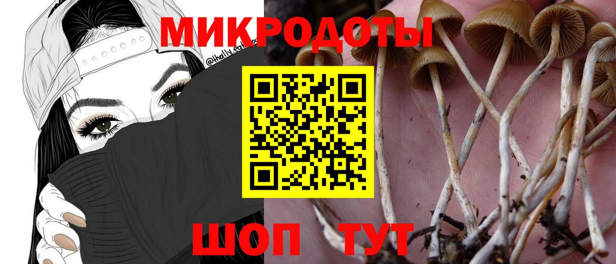 Скопин  Псилоцибиновые грибы Psilocybine cubensis  Вход с VPN 
